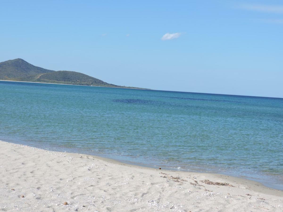 Affittacamere Blue Sea Позада Екстериор снимка